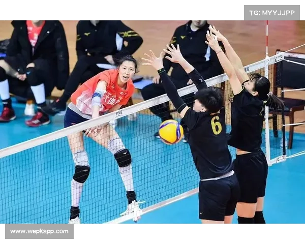 中国女排北京站3-0横扫法国 吴梦洁砍17分助队完美零封